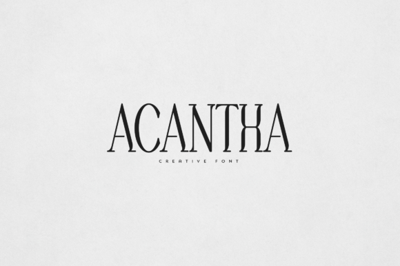 Acantha Serif Review: A Designer’s Perspective