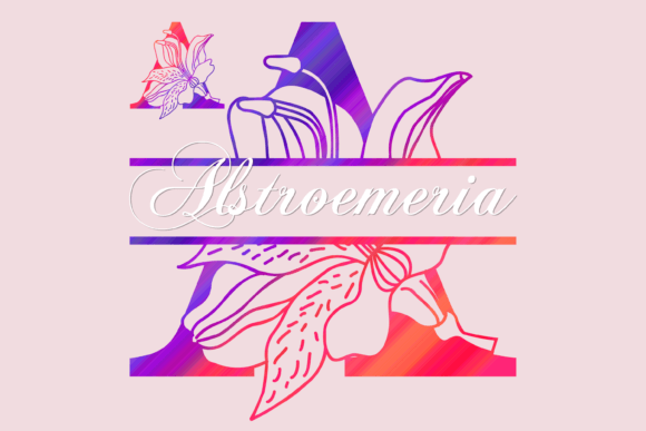 Alstroemeria Split: A Decorative Font for Branding