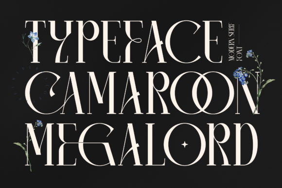 Camaroon Megalord: A Serif Font for Bold Branding