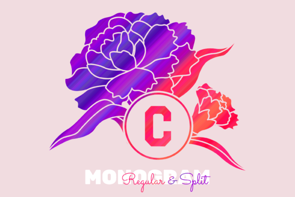 Carnation Mono: A Designer’s Guide to This Elegant Decorative Font
