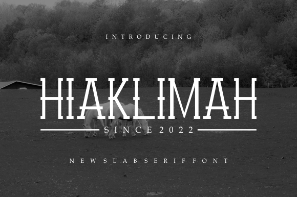 Hiaklimah: A Slab Serif Typeface for Clear Campaigns