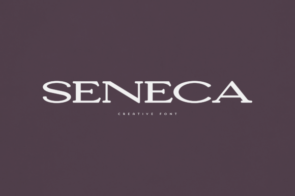 Seneca: The Serif Font That Elevates Campaigns